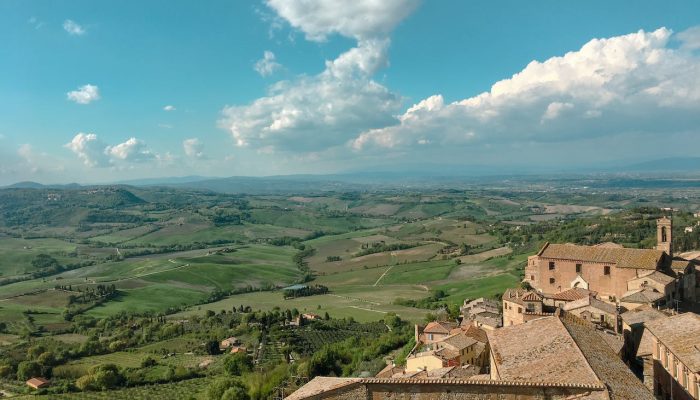 pexels-vlado-paunovic-14373361