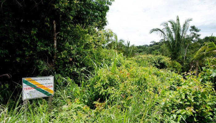 Colniza, MT, Brasil: Divisa da terra indígena Kawahiva do Rio Pardo, no município de Colniza, noroeste do Mato Grosso. (Foto: Marcelo Camargo/Agência Brasil)