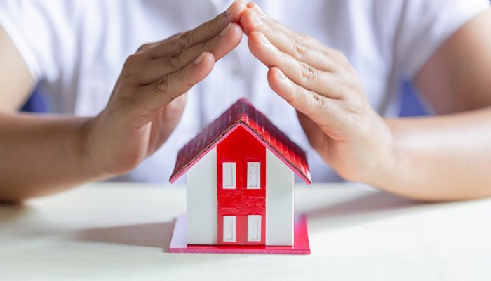 protect-your-house