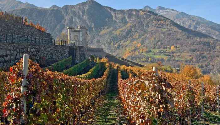 O Valle d'Aosta tem vinhos DOC e uma raridade enológica: o Prieuré Vallée d’Aoste Chambave Moscato Passito DOC