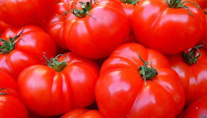 tomatoes-g6a50a9a0c_1920