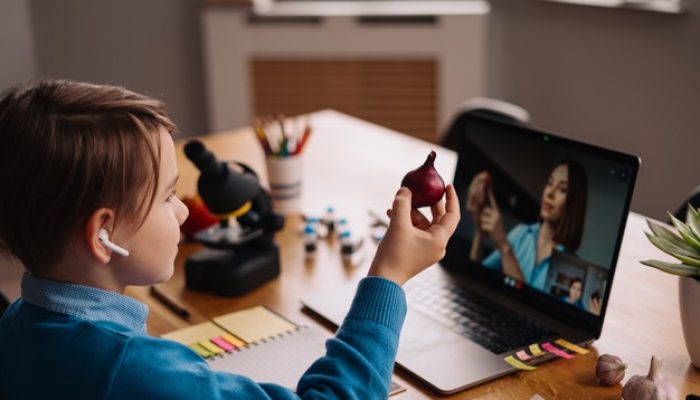 um-menino-pre-adolescente-usa-um-laptop-para-fazer-uma-videochamada-com-a-professora_158595-7517