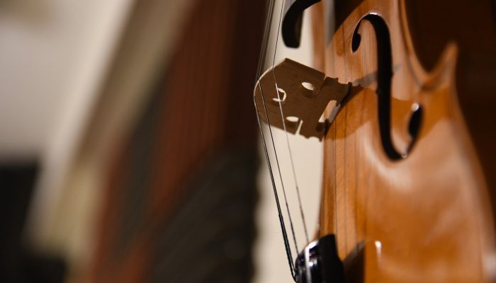 violin-ge69e83d2c_1920